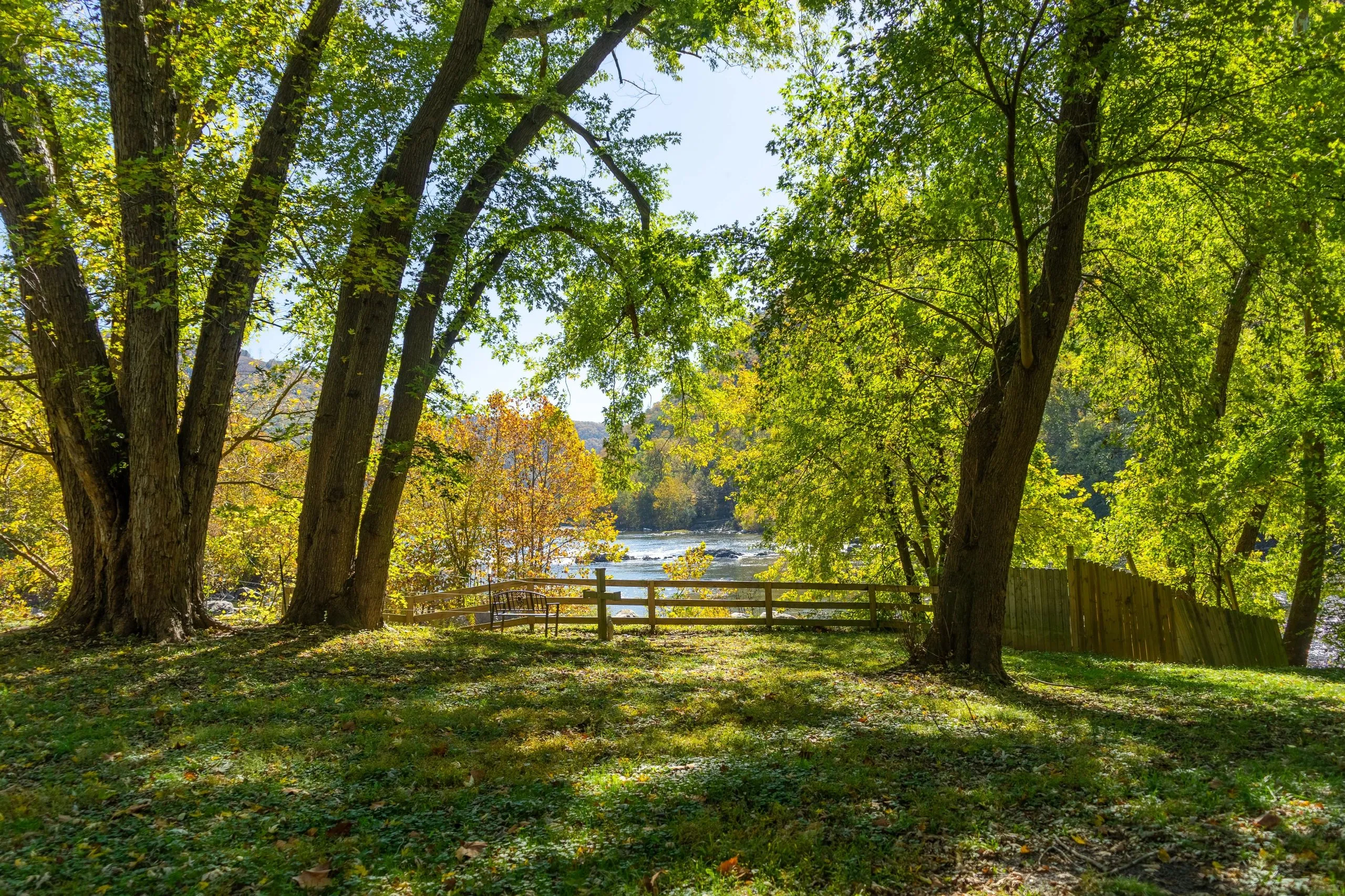 A riverside park in Glasgow on a golden fall afternoon, a split-rail fence running along the bank.